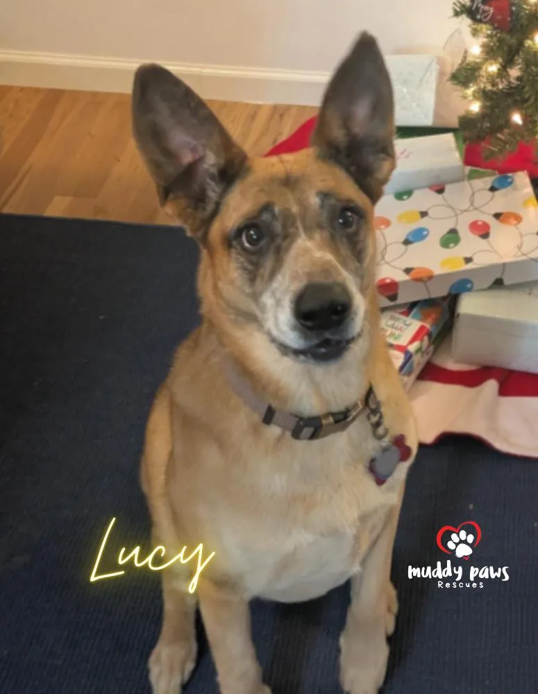 Lucy thumbnail 5