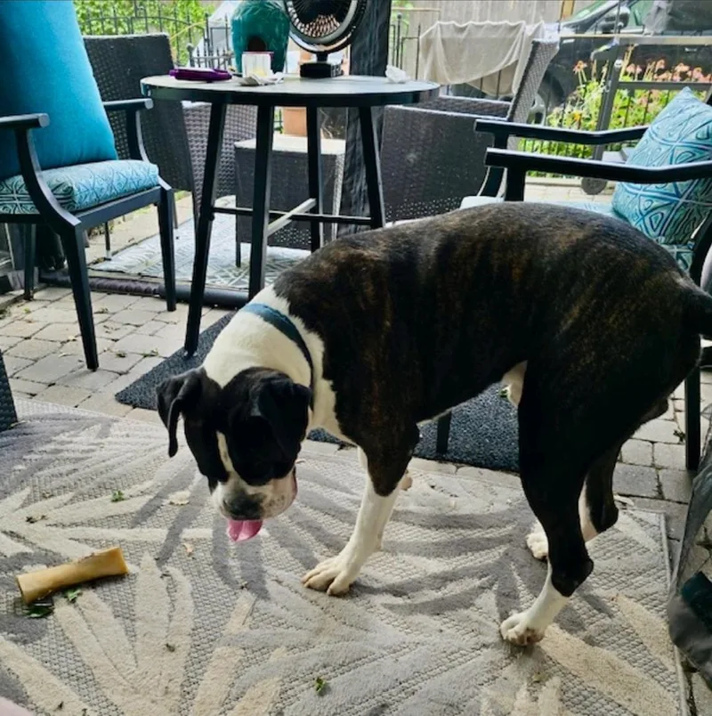 Zeus