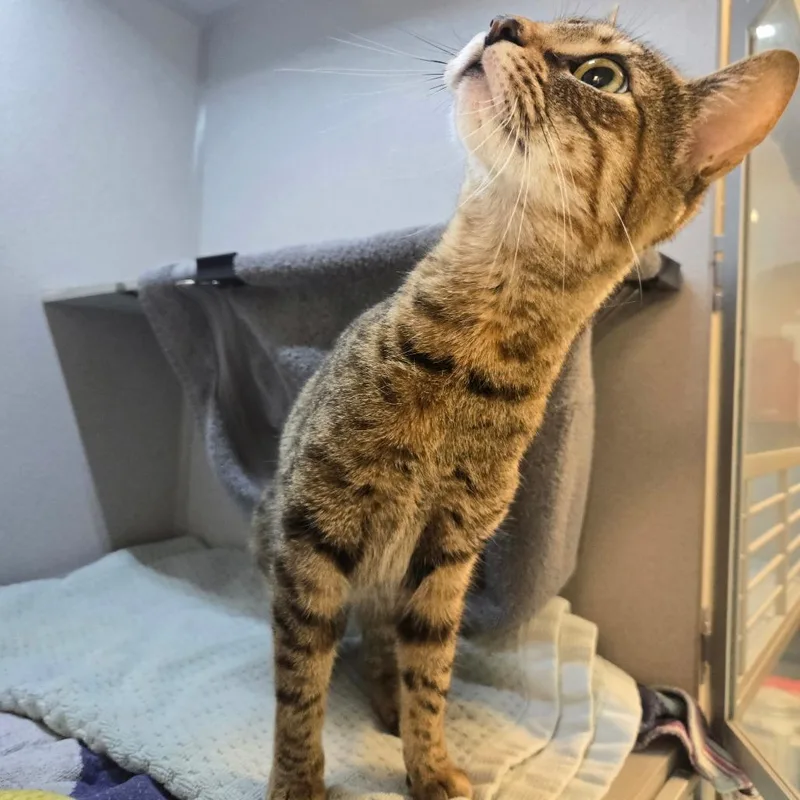 Little Bit thumbnail 2