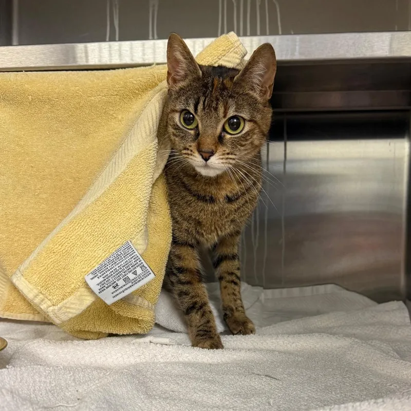 Little Bit thumbnail 4