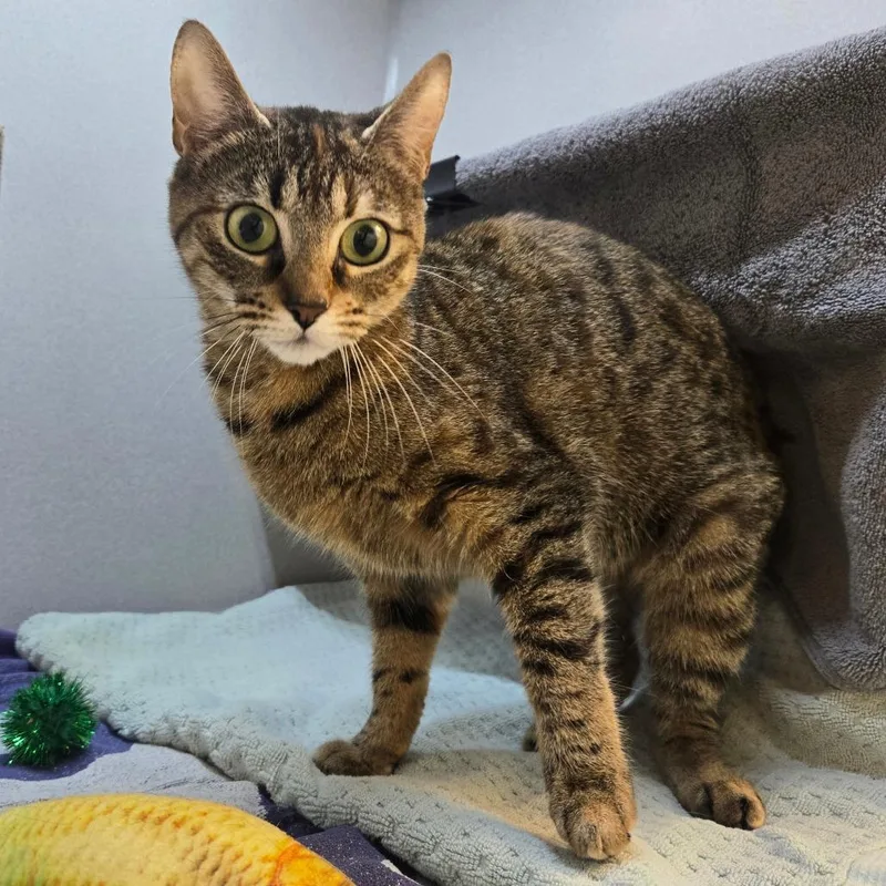 Little Bit thumbnail 5