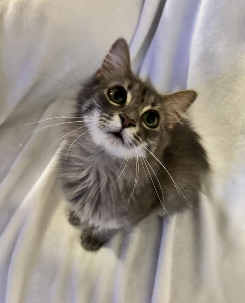 Floof WM