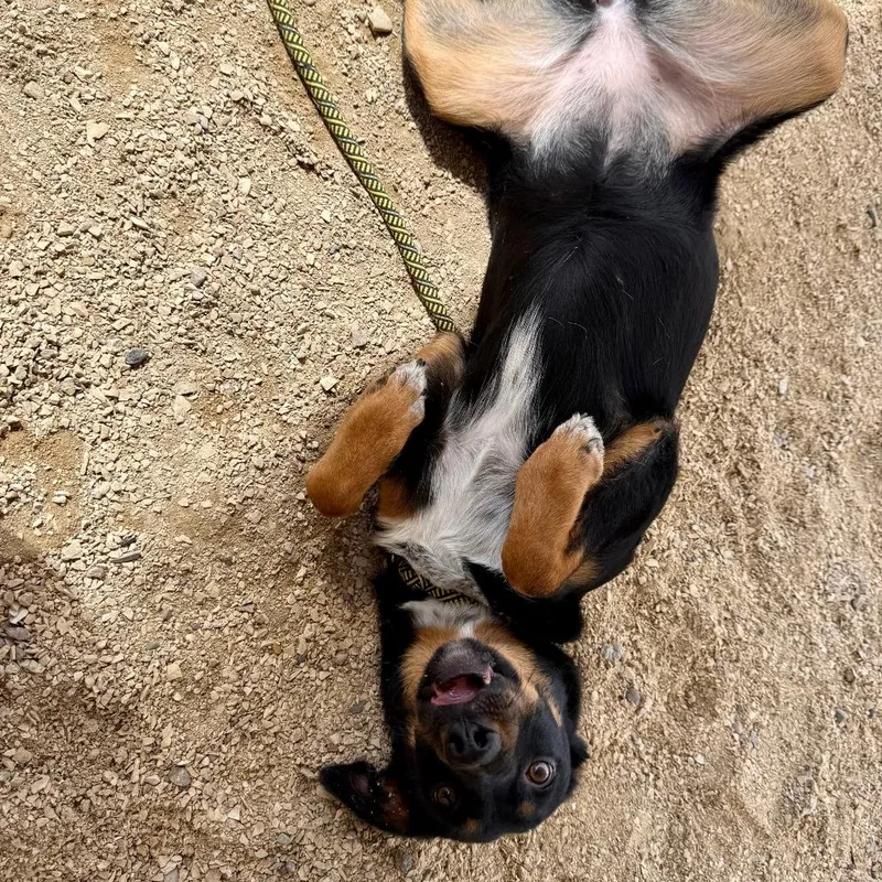 Francesca thumbnail 2