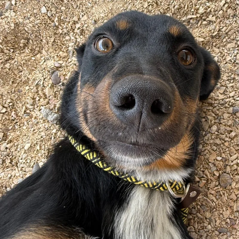 Francesca thumbnail 3