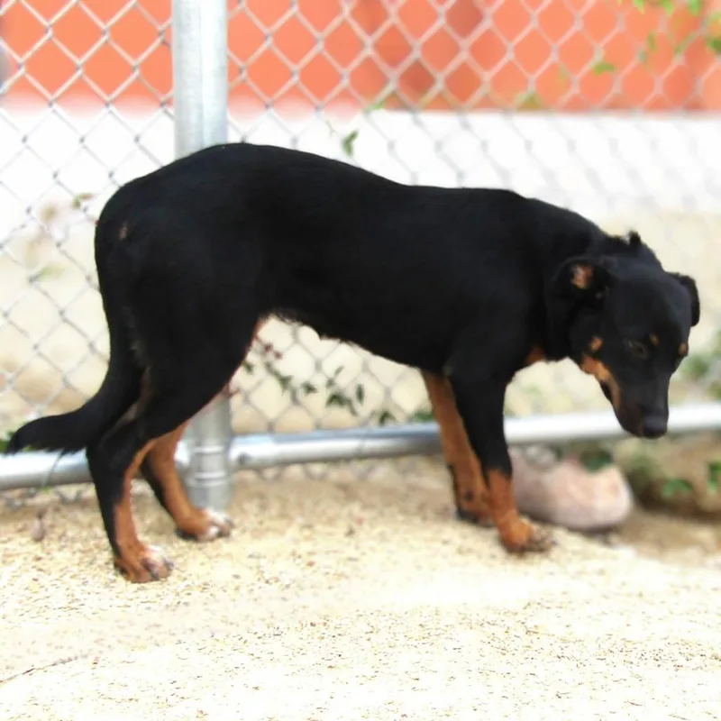 Francesca thumbnail 4