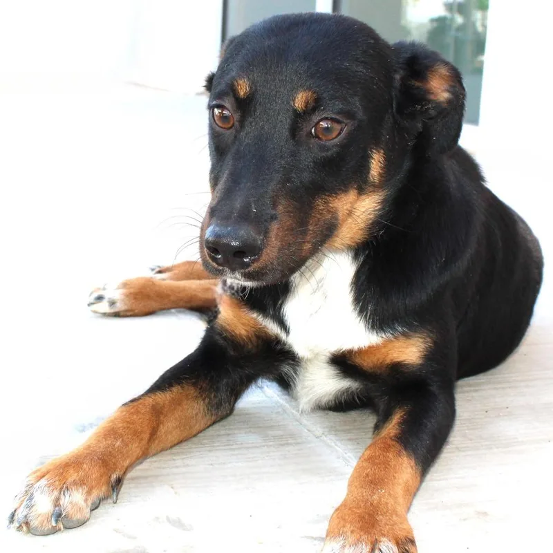 Francesca thumbnail 5