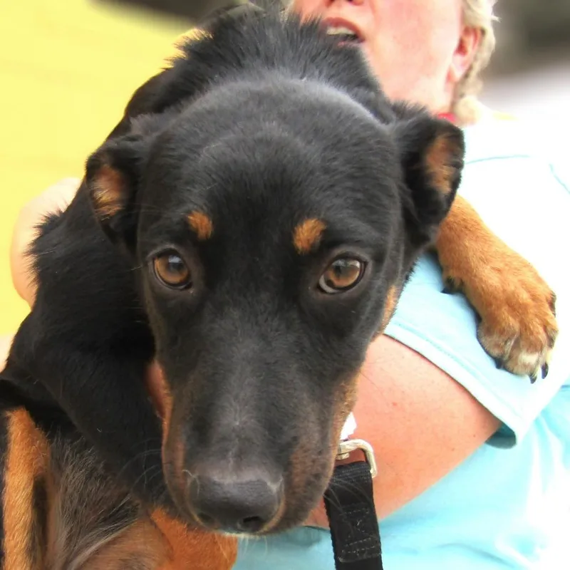 Francesca thumbnail 6