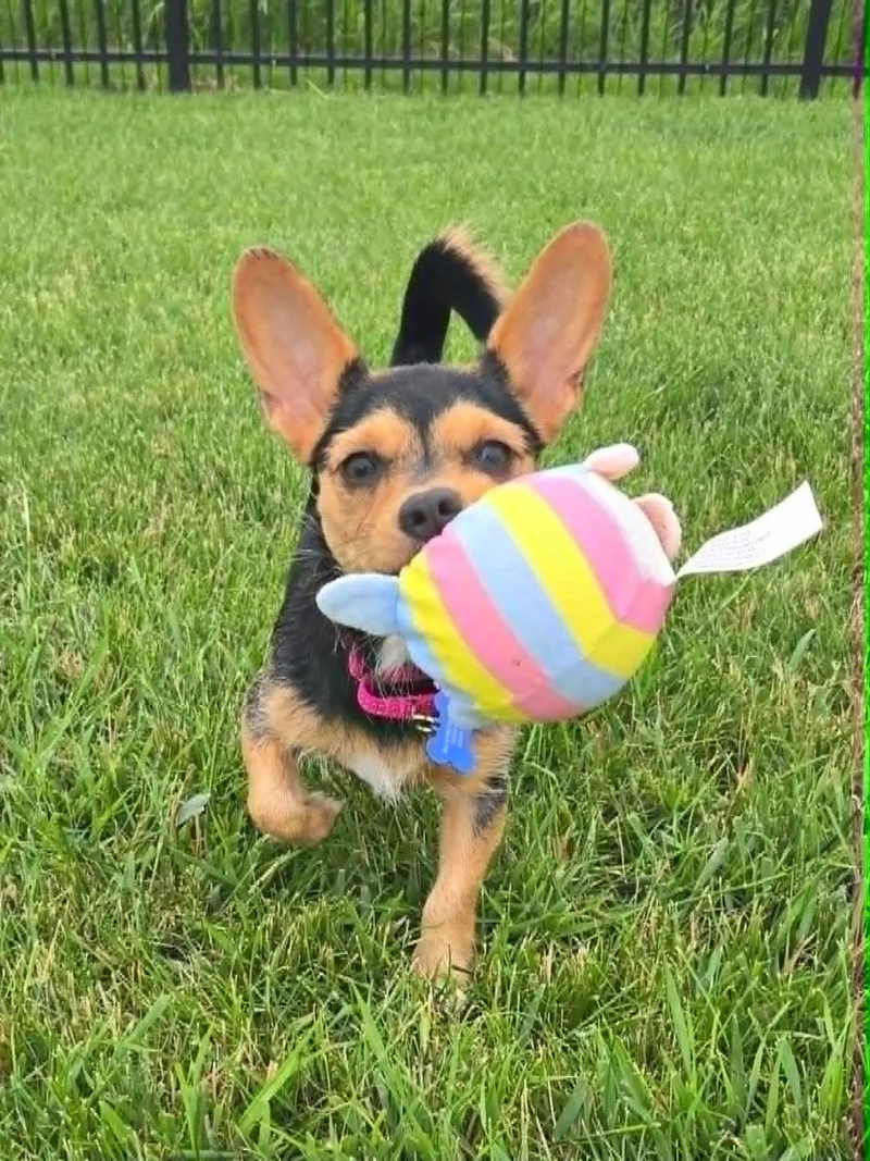 Coco thumbnail 2