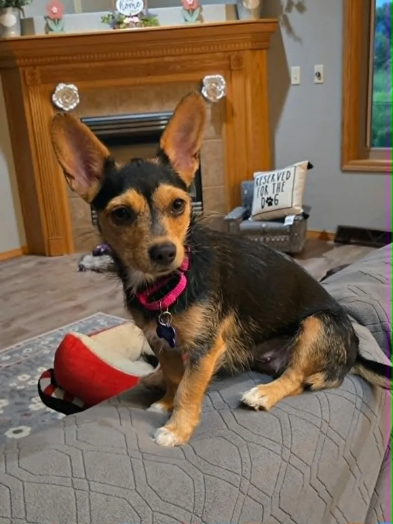Coco thumbnail 6