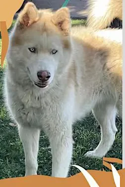 Hennessy thumbnail 2