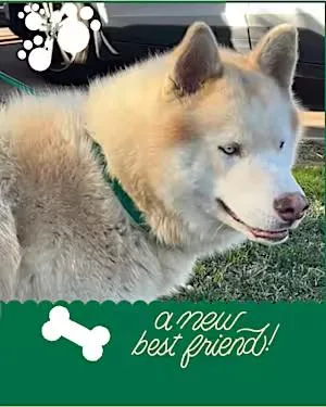 Hennessy thumbnail 3