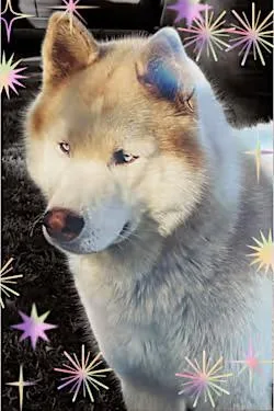 Hennessy thumbnail 4