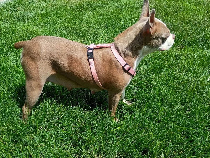 Olivia In Ne