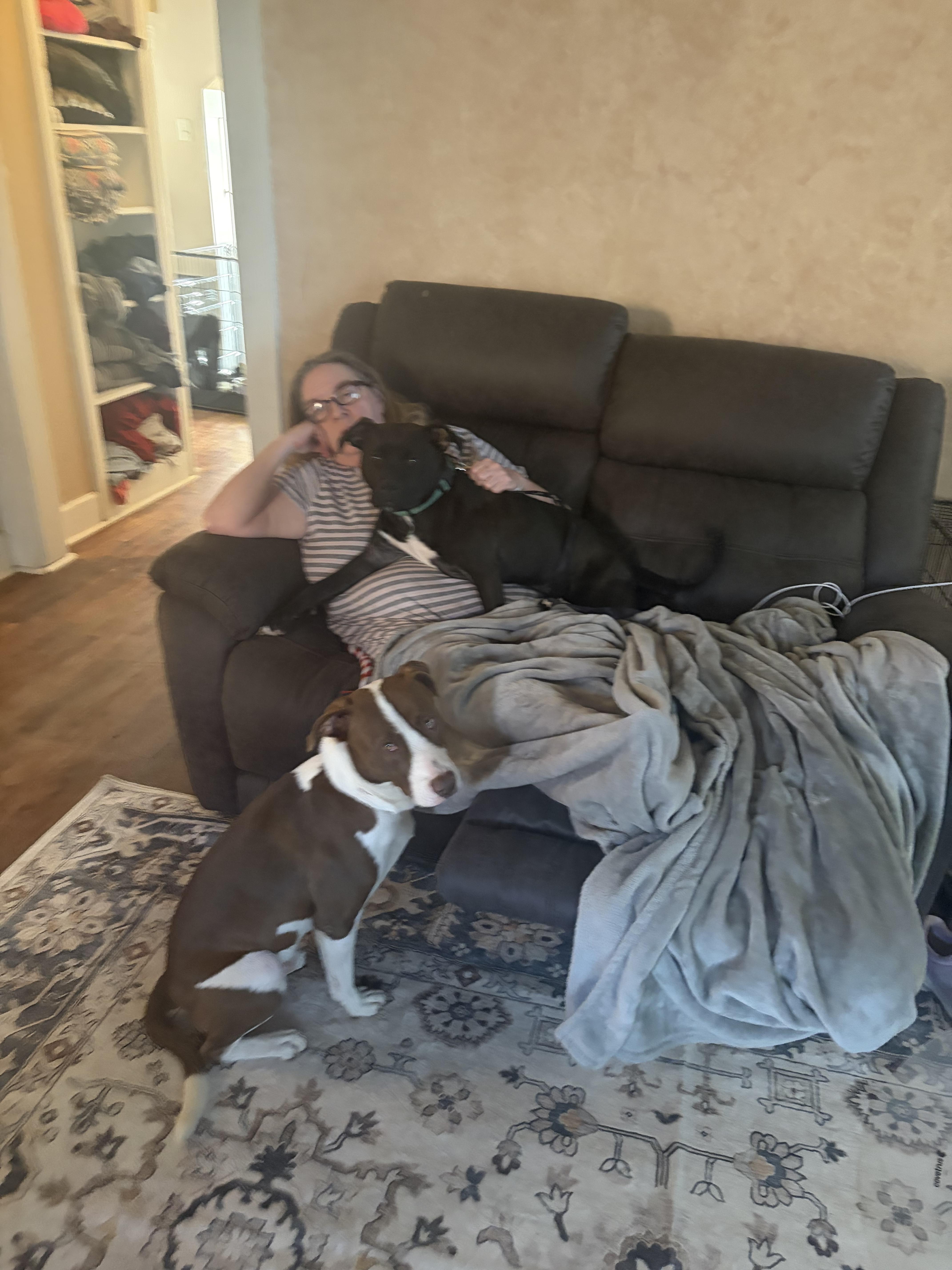 Cocoa : The Cuddler thumbnail 3