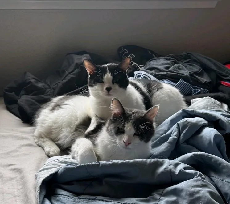 Ben Affleck thumbnail 2