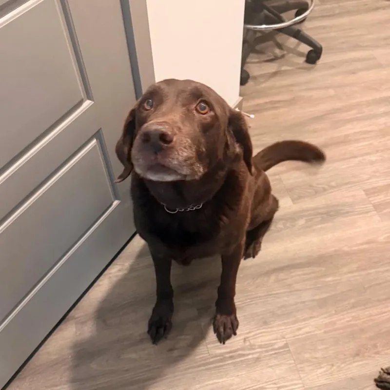 MAX not Smokey