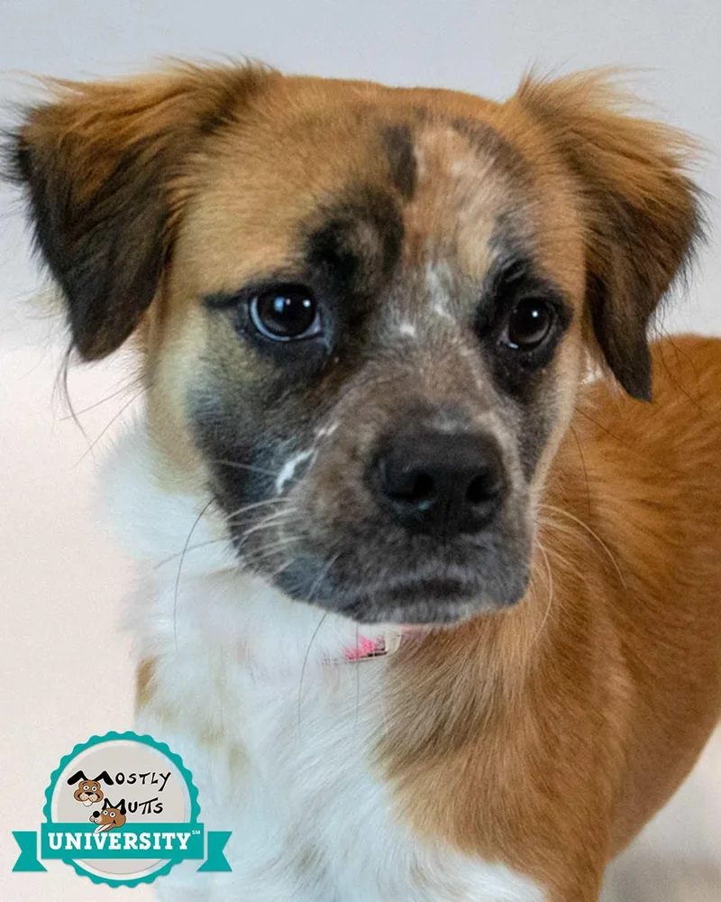 Kaelie thumbnail 5
