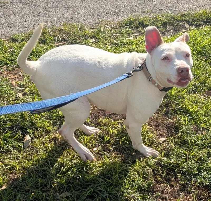 Soleilfully Sponsored Fee! thumbnail 2