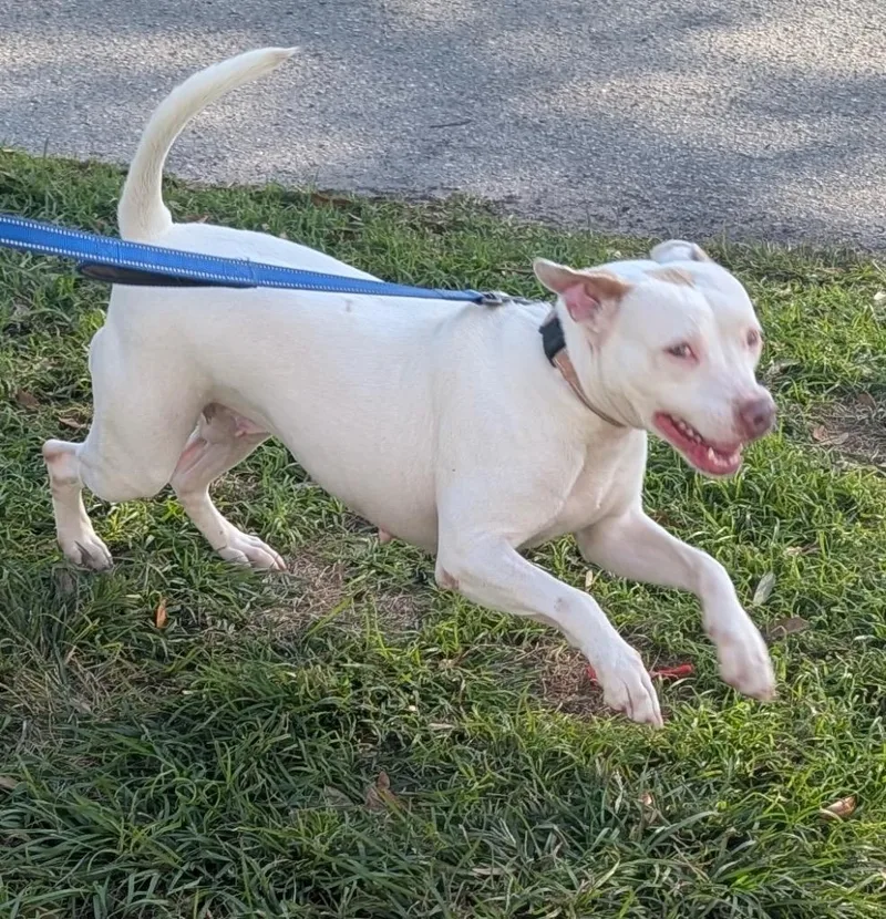 Soleilfully Sponsored Fee! thumbnail 4