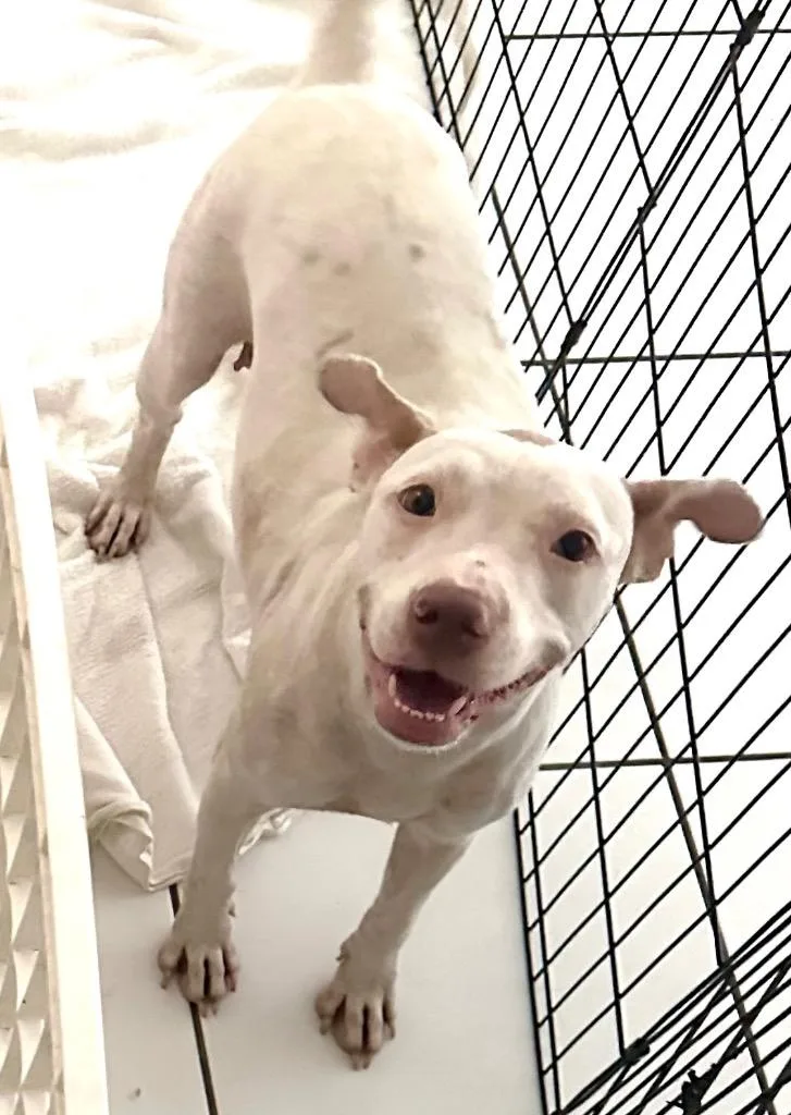 Soleilfully Sponsored Fee! thumbnail 5