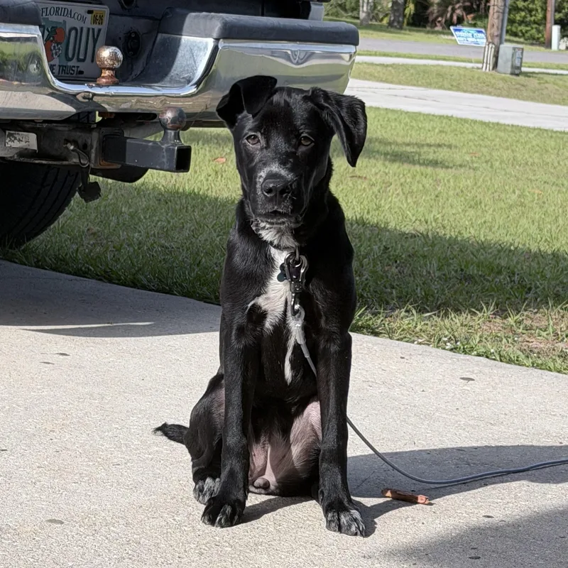 Coco