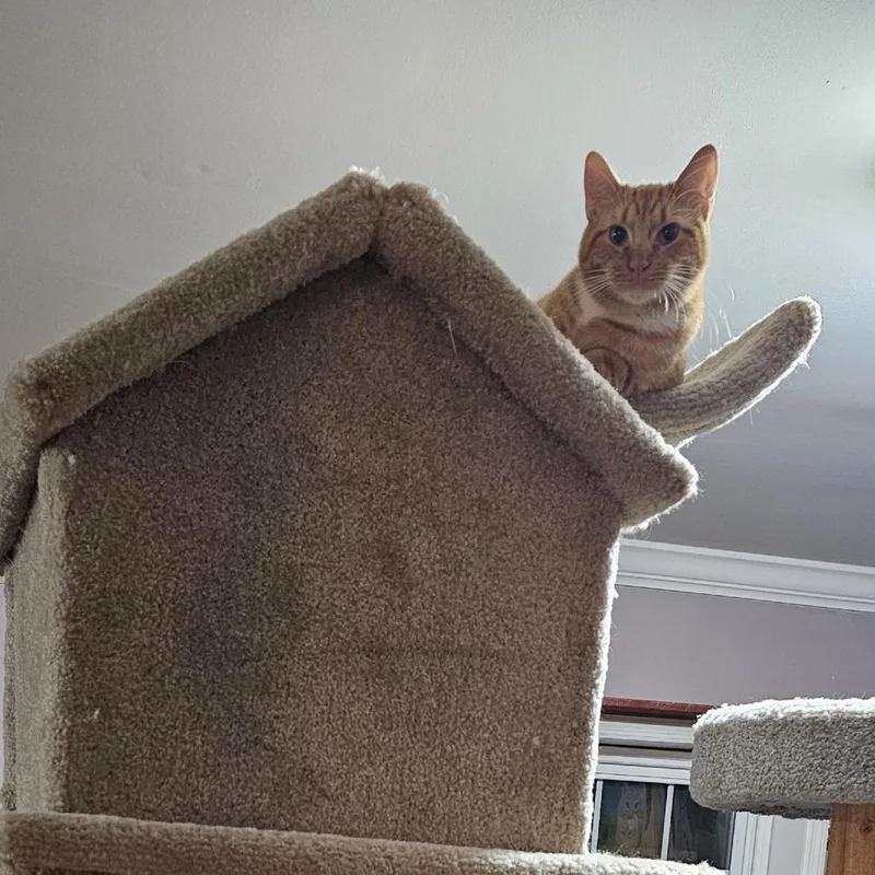 Pubert "Bert" thumbnail 2