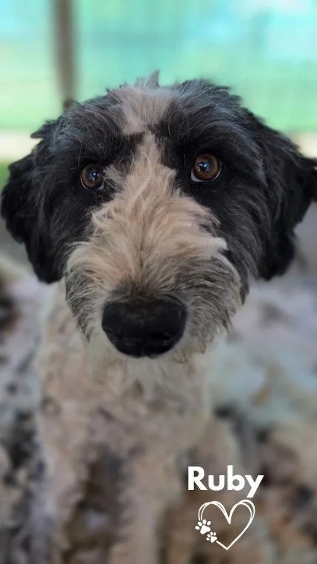 Ruby
