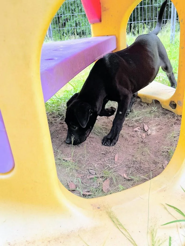 Obsidian thumbnail 2