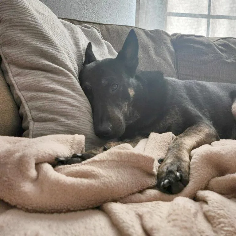 Max