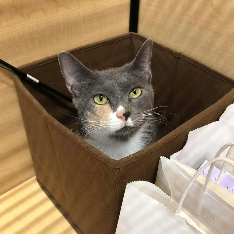 Winter Mimi thumbnail 3