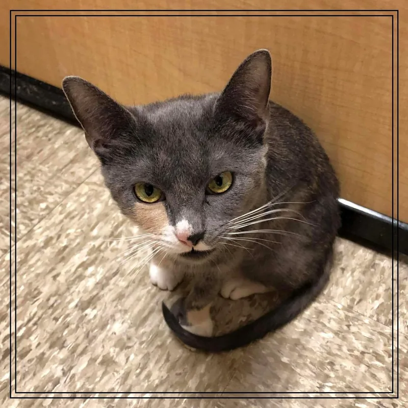 Winter Mimi thumbnail 5