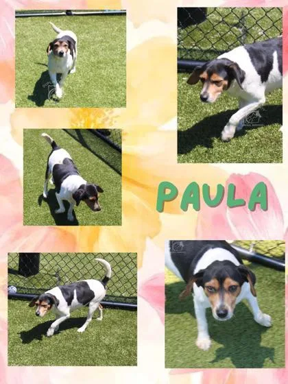 Paula thumbnail 3