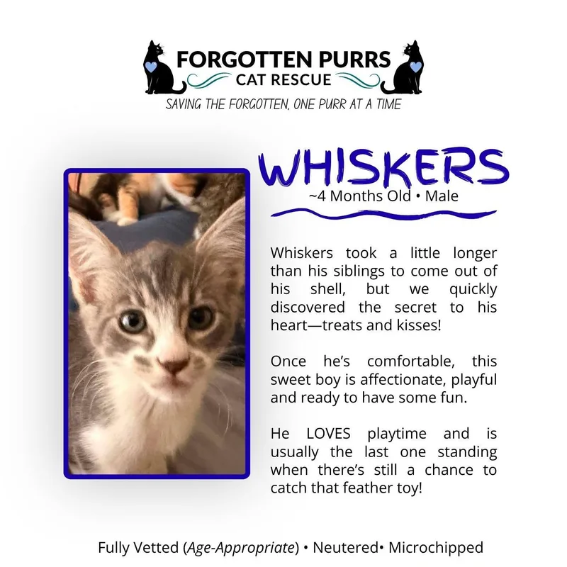 Whiskers