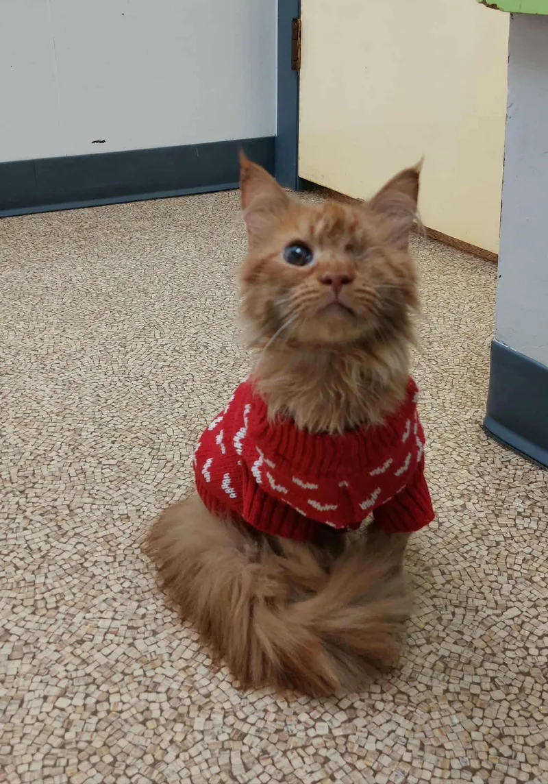 Butters & Waffles thumbnail 2