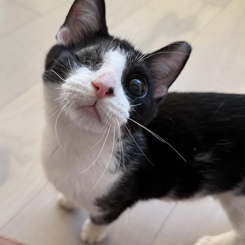 Mackinac thumbnail 2