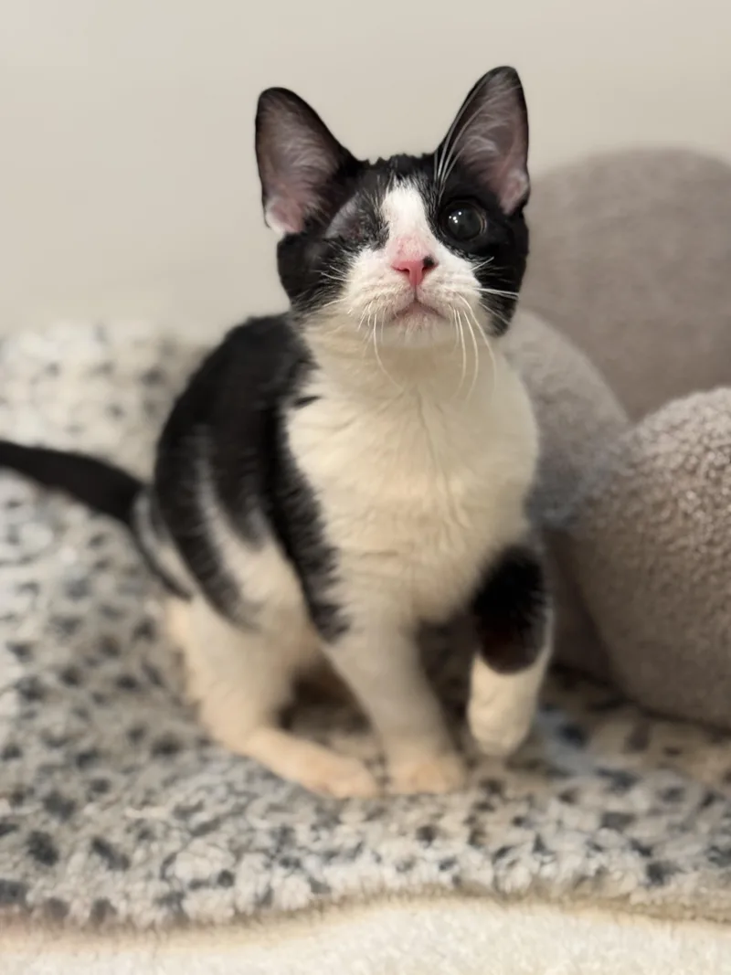 Mackinac thumbnail 3