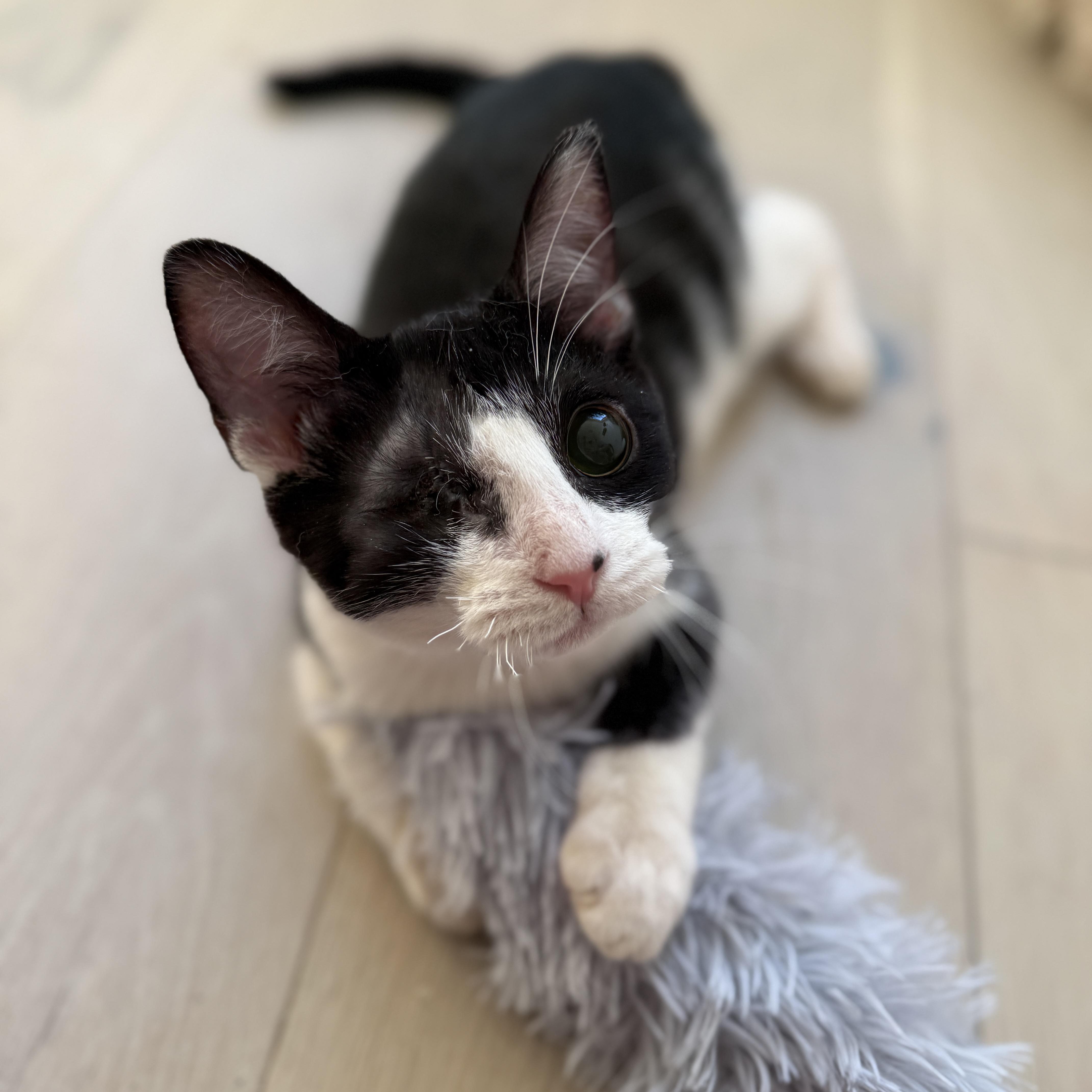 Mackinac thumbnail 4