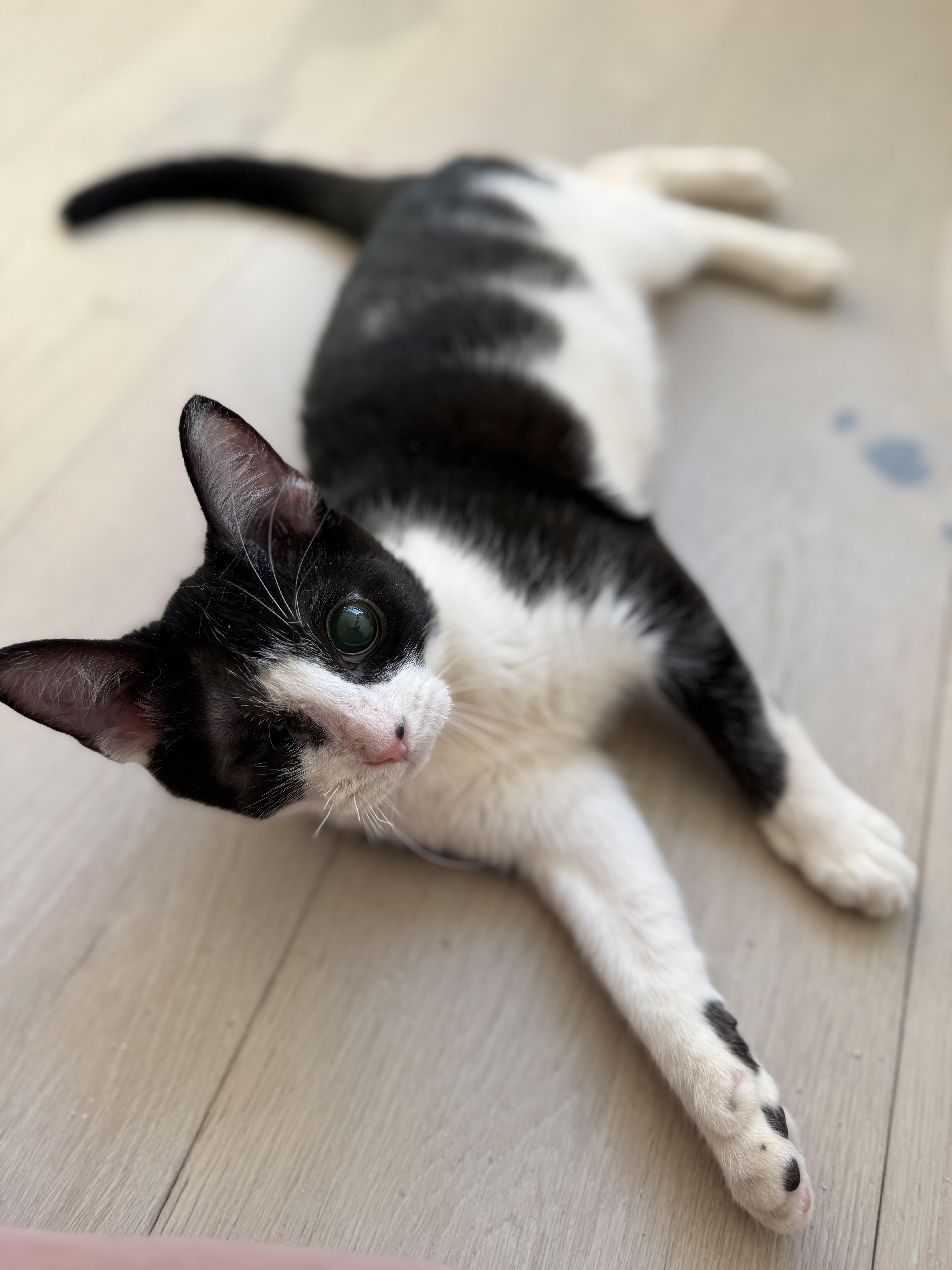 Mackinac thumbnail 6