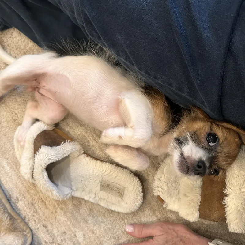 Colette — Your Tiny thumbnail 3