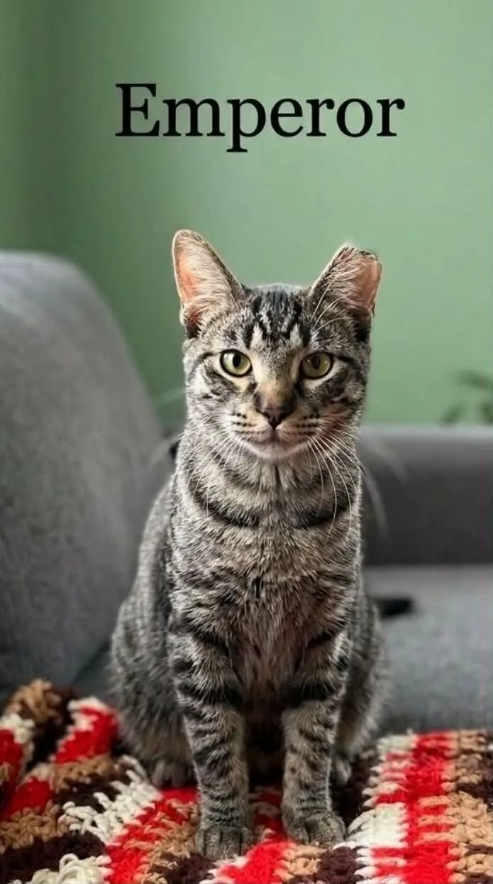 Emperor