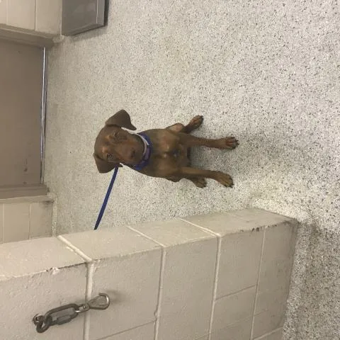 Ellie Mae