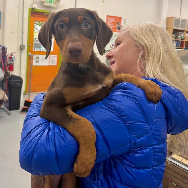 Penelope thumbnail 6