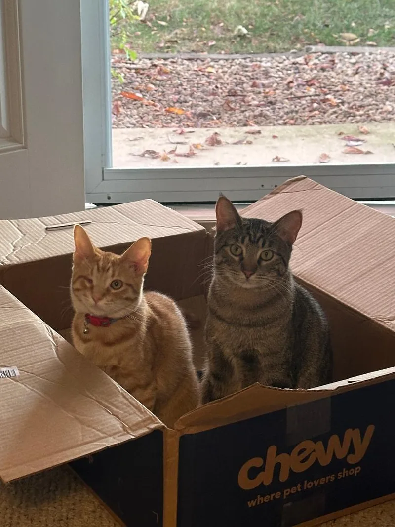 Finney And Mishu thumbnail 2