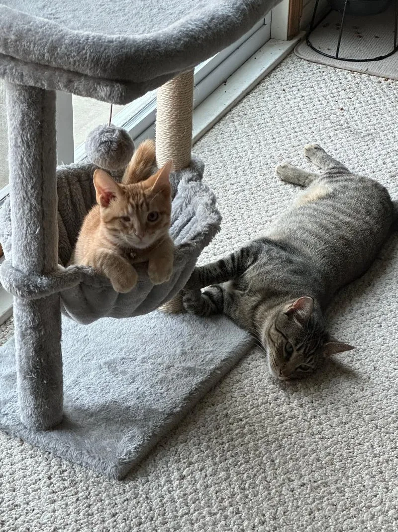 Finney And Mishu thumbnail 4