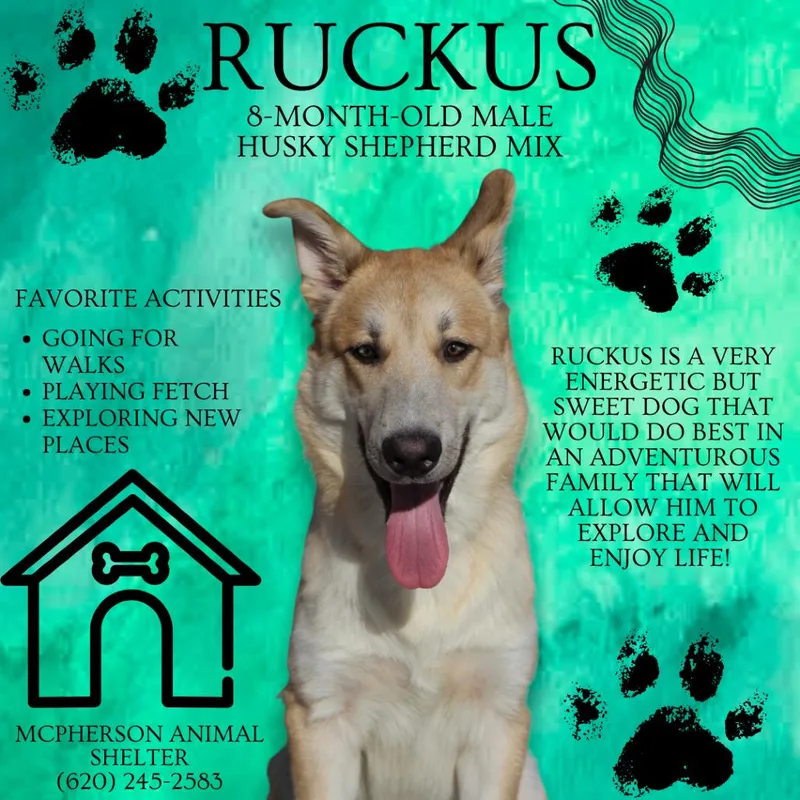 Ruckus
