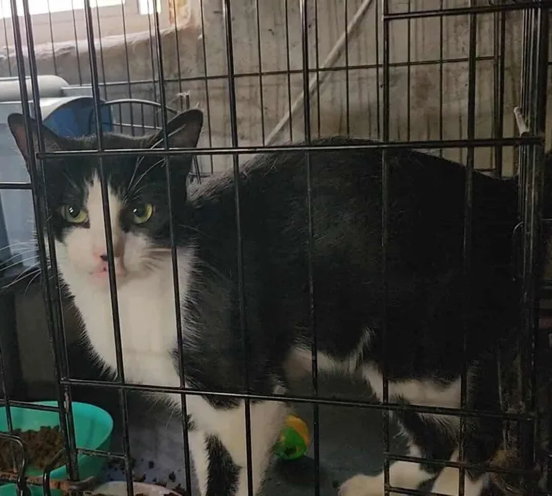 Mama Blaze thumbnail 2