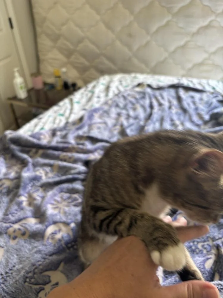 Weezie thumbnail 2