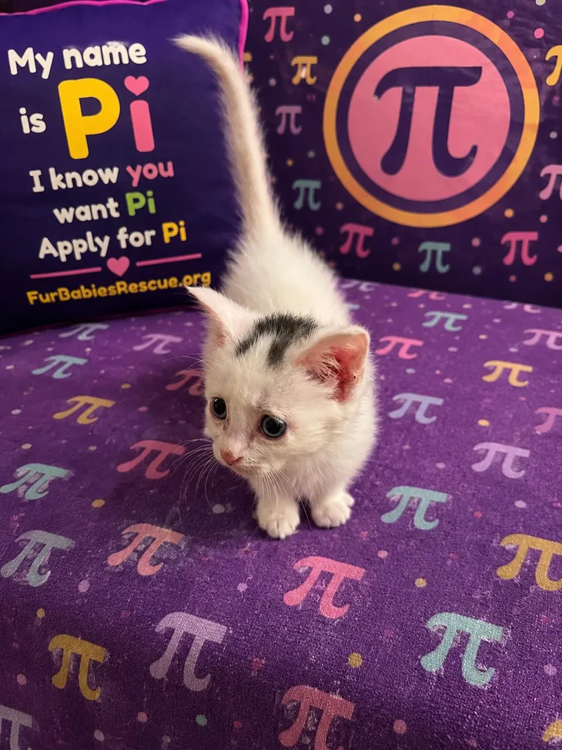 Pi thumbnail 2