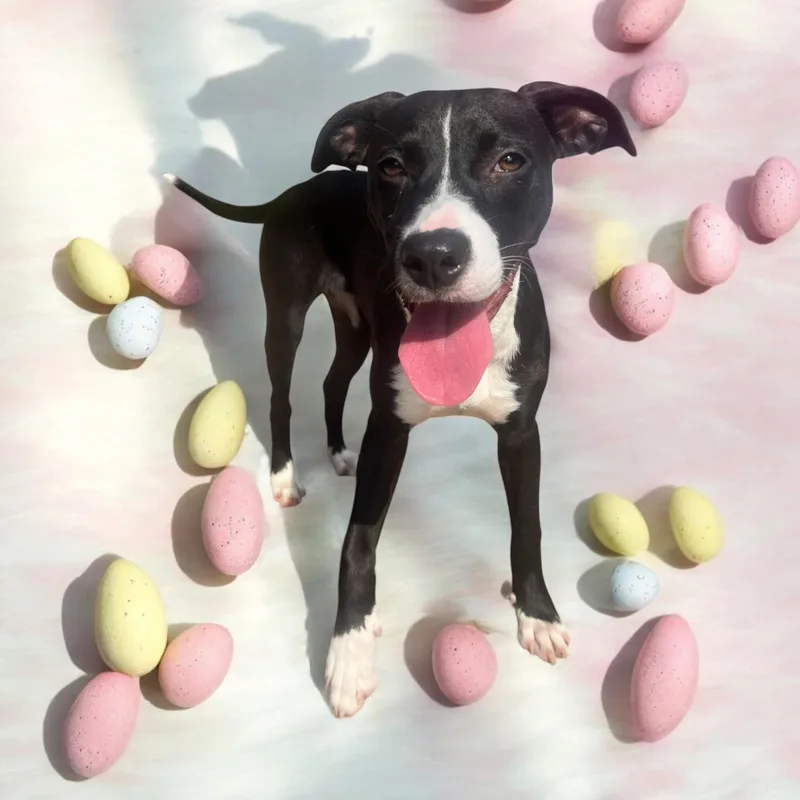 Phoebe  Young Sweet thumbnail 3