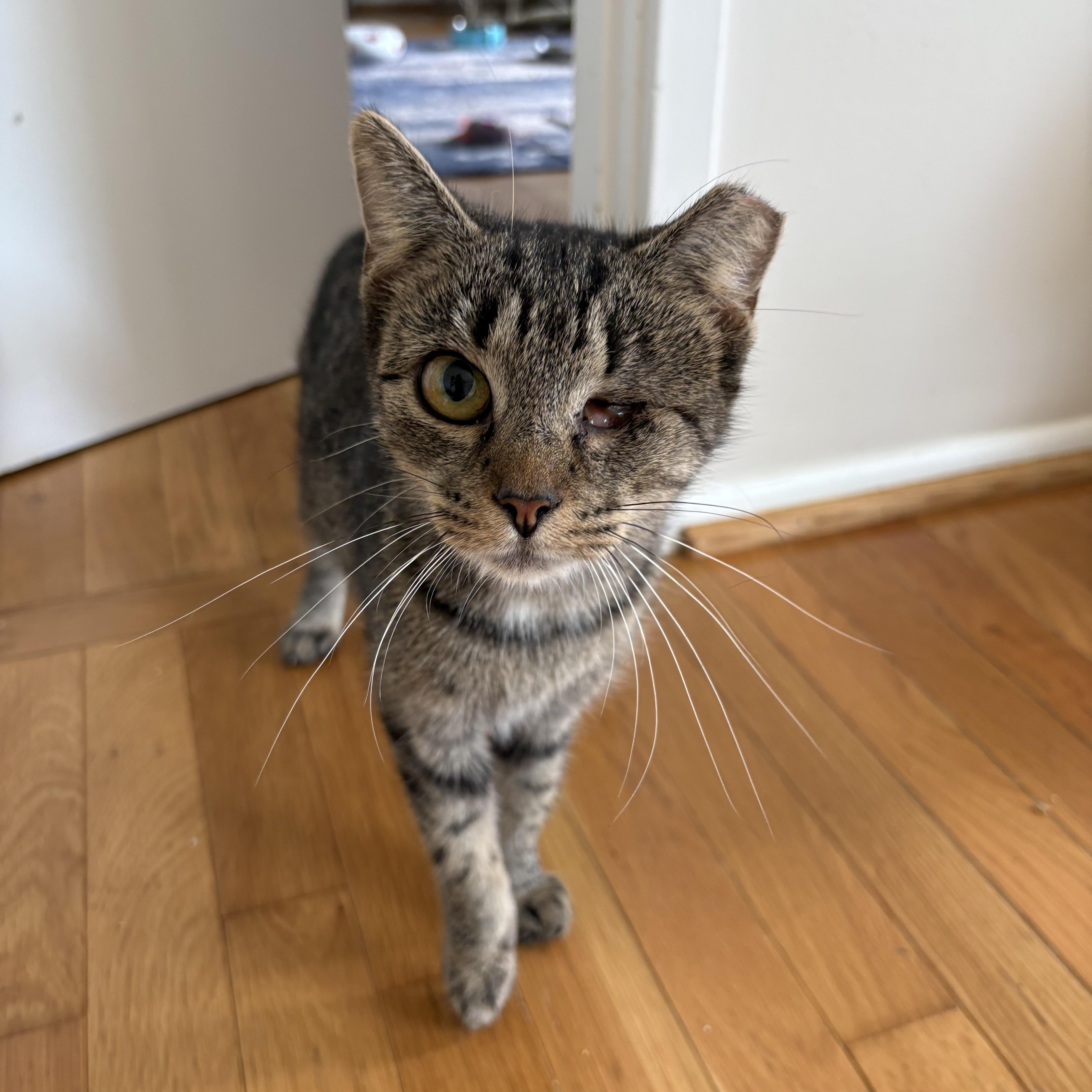 Rhonda